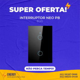 Interruptor NEO duo PB